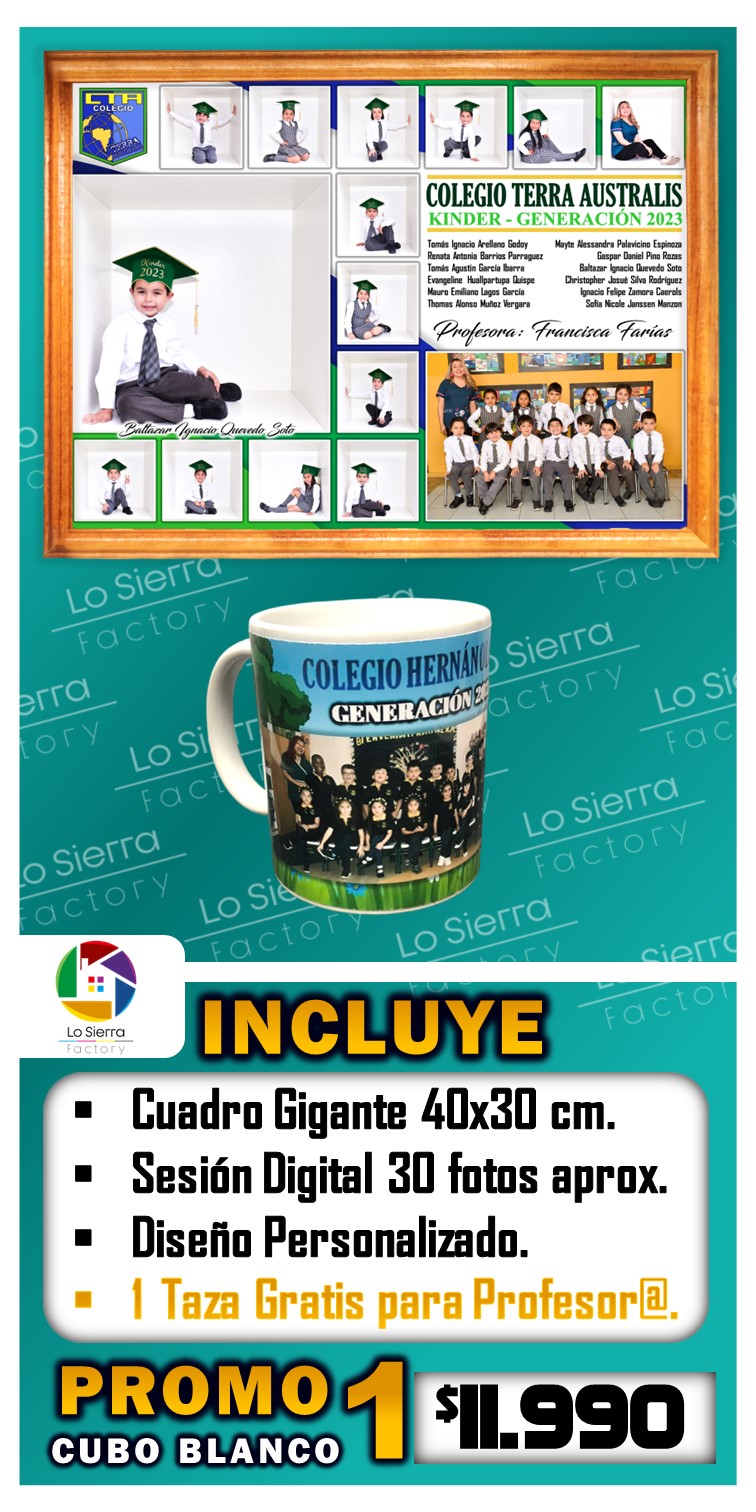 PROMO 1 CUBO 