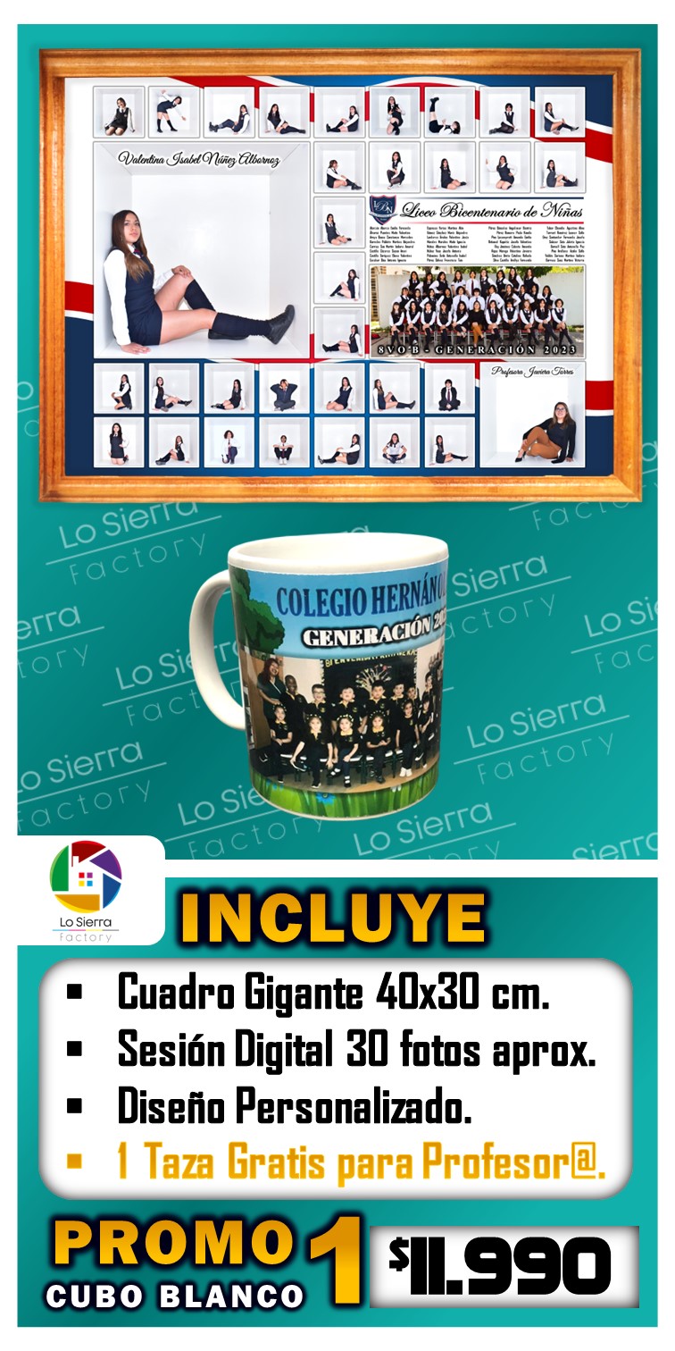 PROMO 1 CUBO 